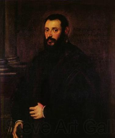 Jacopo Tintoretto Portrait of Nicolaus Padavinus France oil painting art